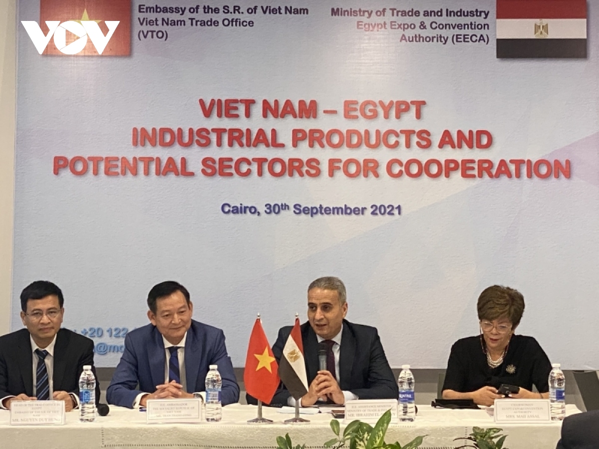 Vietnam, Egypt seek to promote post-COVID-19 trade exchange